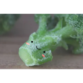Frozen Baroccoli  (29)-7716332-1177.webp